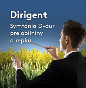 Dirigent®