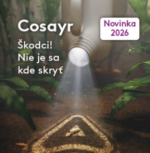 Cosayr®