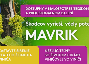 Zastavte šírenie zlatého žltnutia viniča